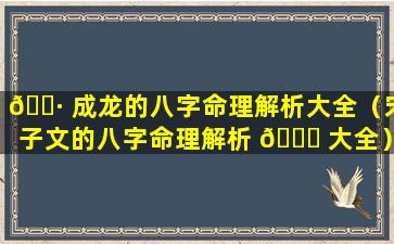 🌷 成龙的八字命理解析大全（宋子文的八字命理解析 🐅 大全）